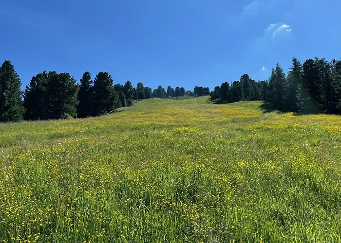 Dağ evi Irmi Hart im Zillertal